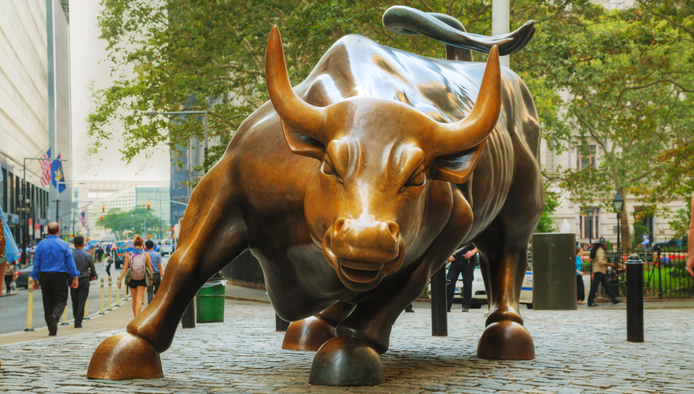 Choosing between Aquarius and Wall Street's Charging Bull - Caleb's Journal